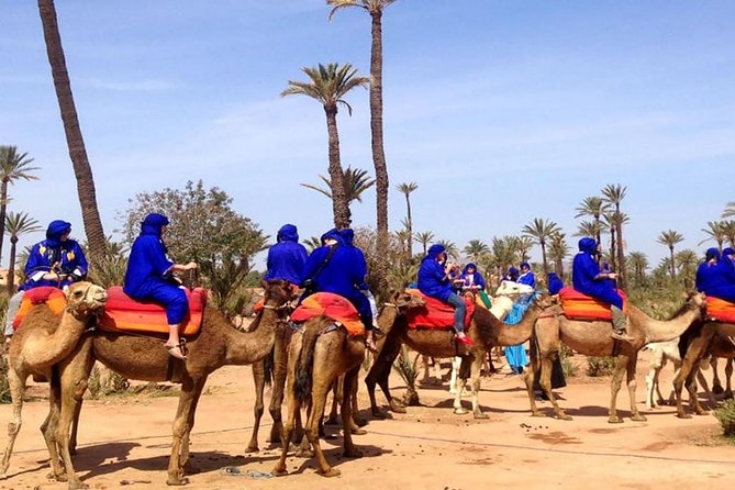 Camel Ride in Marrakech Palmeraie