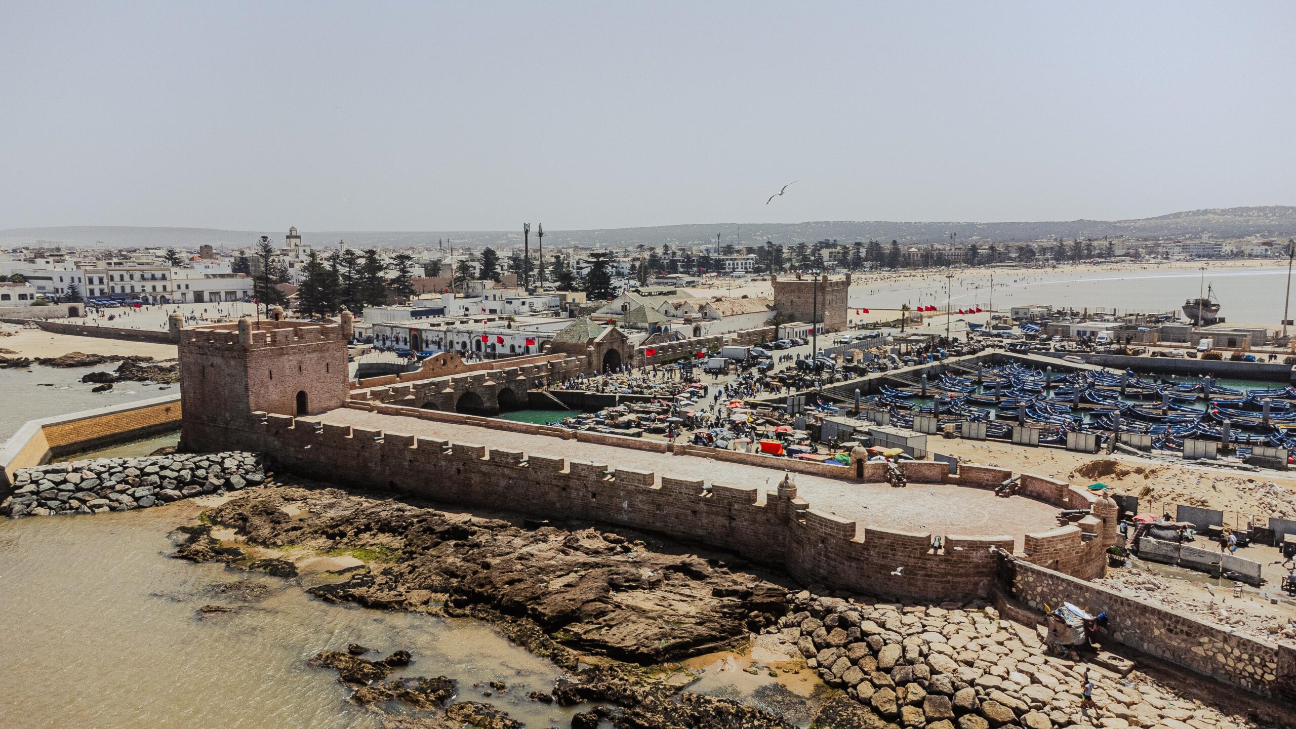 1 Day Trip to Essaouira from Marrakech