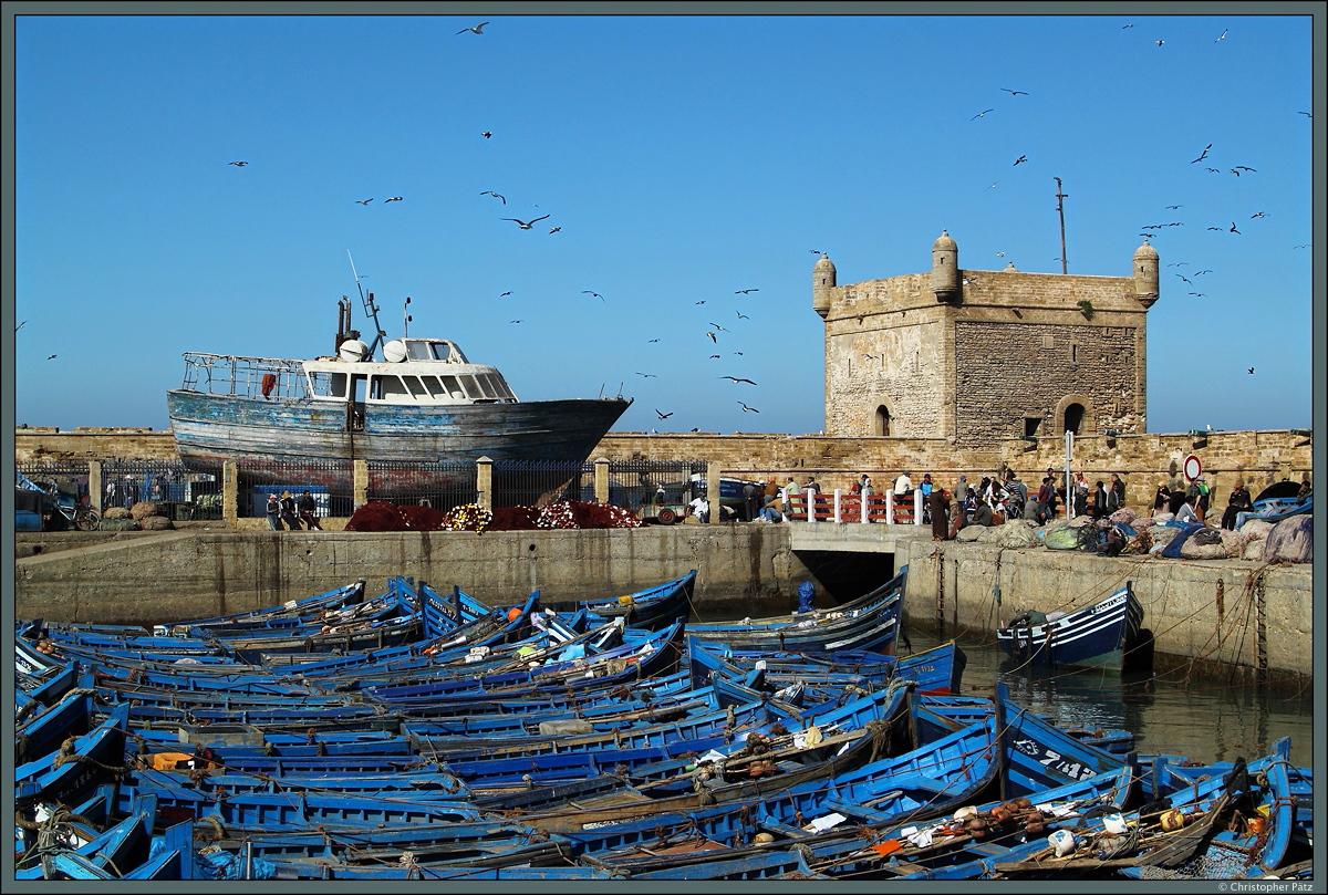 1 Day Trip to Essaouira from Marrakech