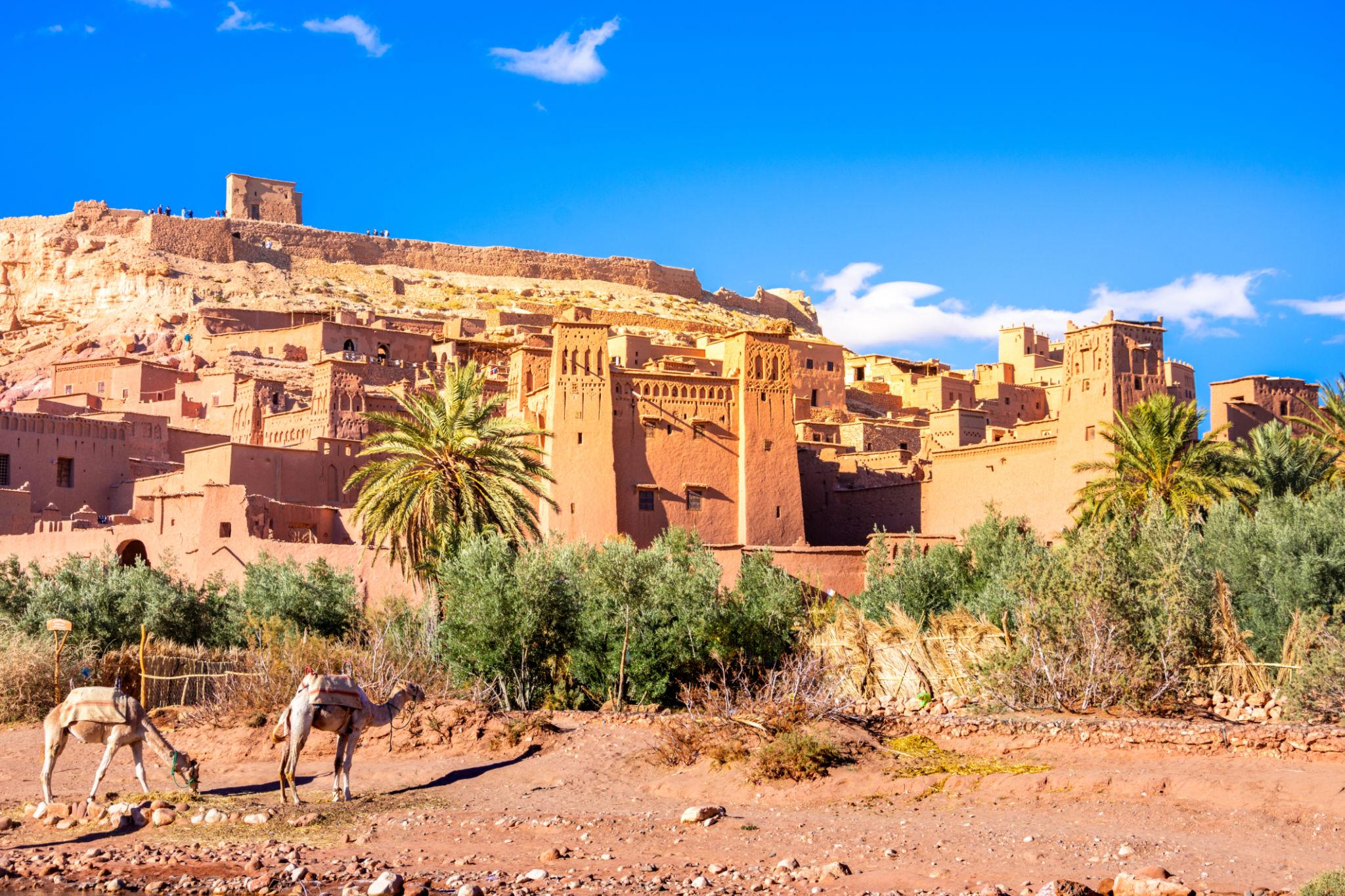 1 Day Trip to Ouarzazate and Ait Ben Haddou