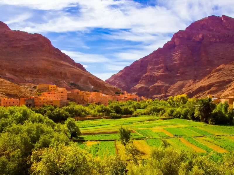 1 Day Trip to Ouarzazate and Ait Ben Haddou Marrakech