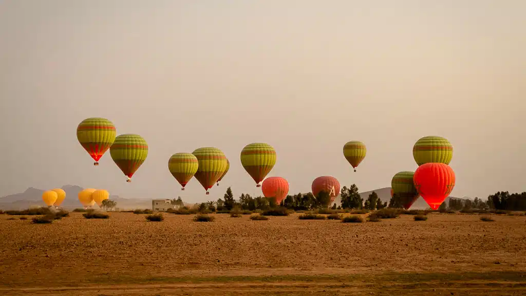 Classic Sunrise Flight