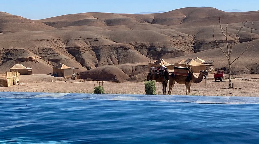 Camel Ride in Agafay