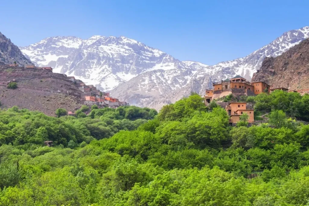 Day Trip to Imlil & High Atlas