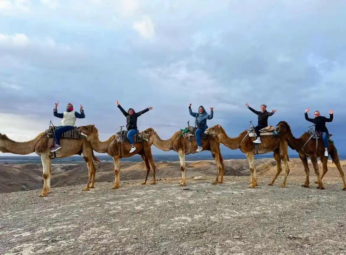 Camel Ride in Agafay