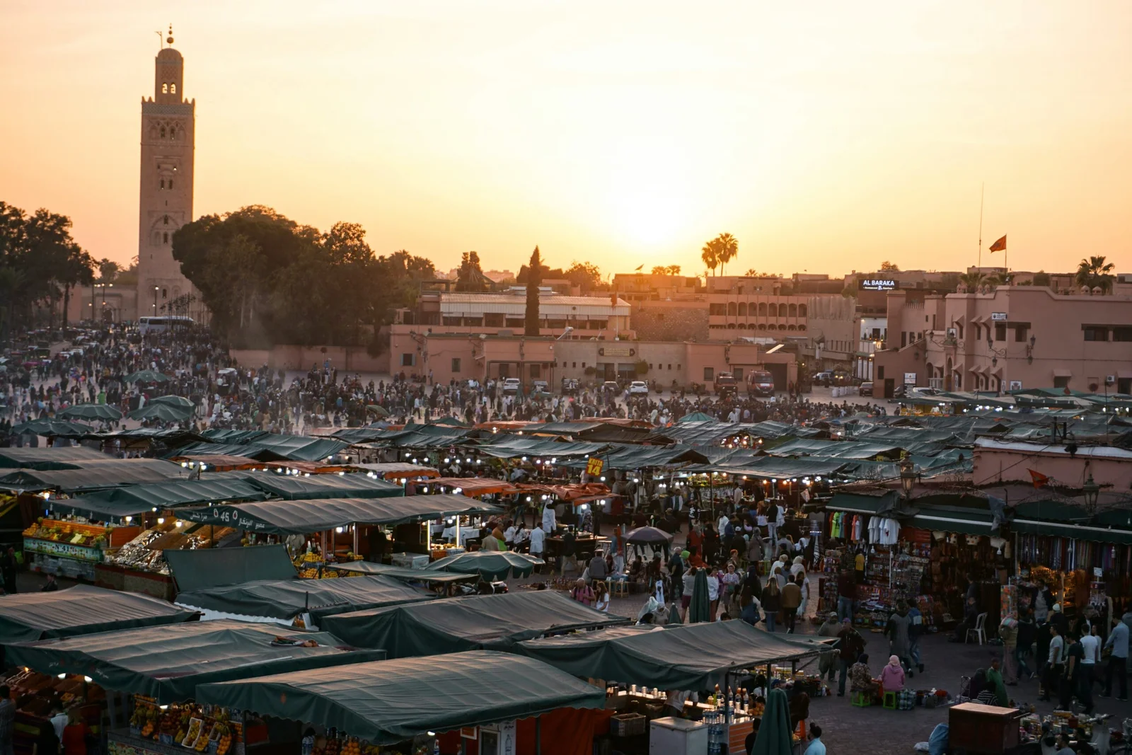 Marrakech Highlights Half-Day City Tour